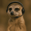 Meerkat Logo